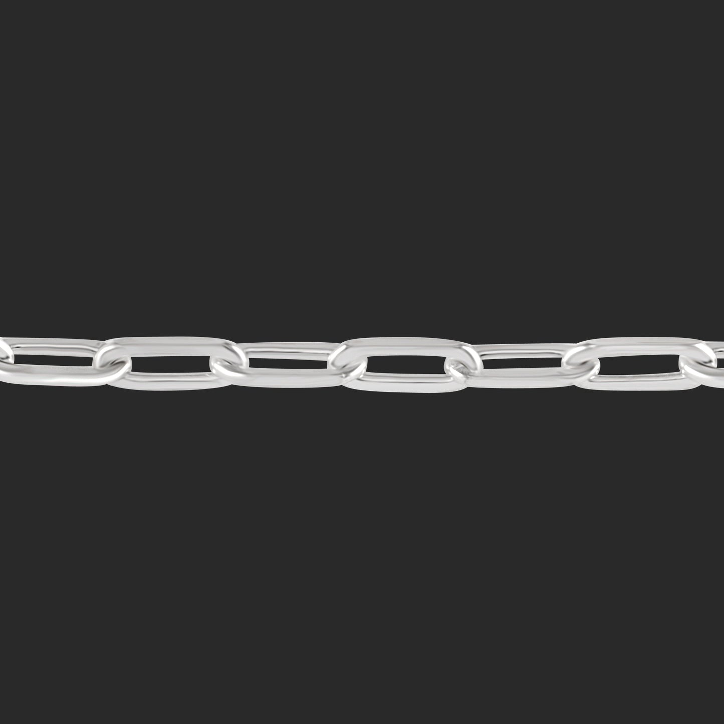 Fine Clip Chain Necklace